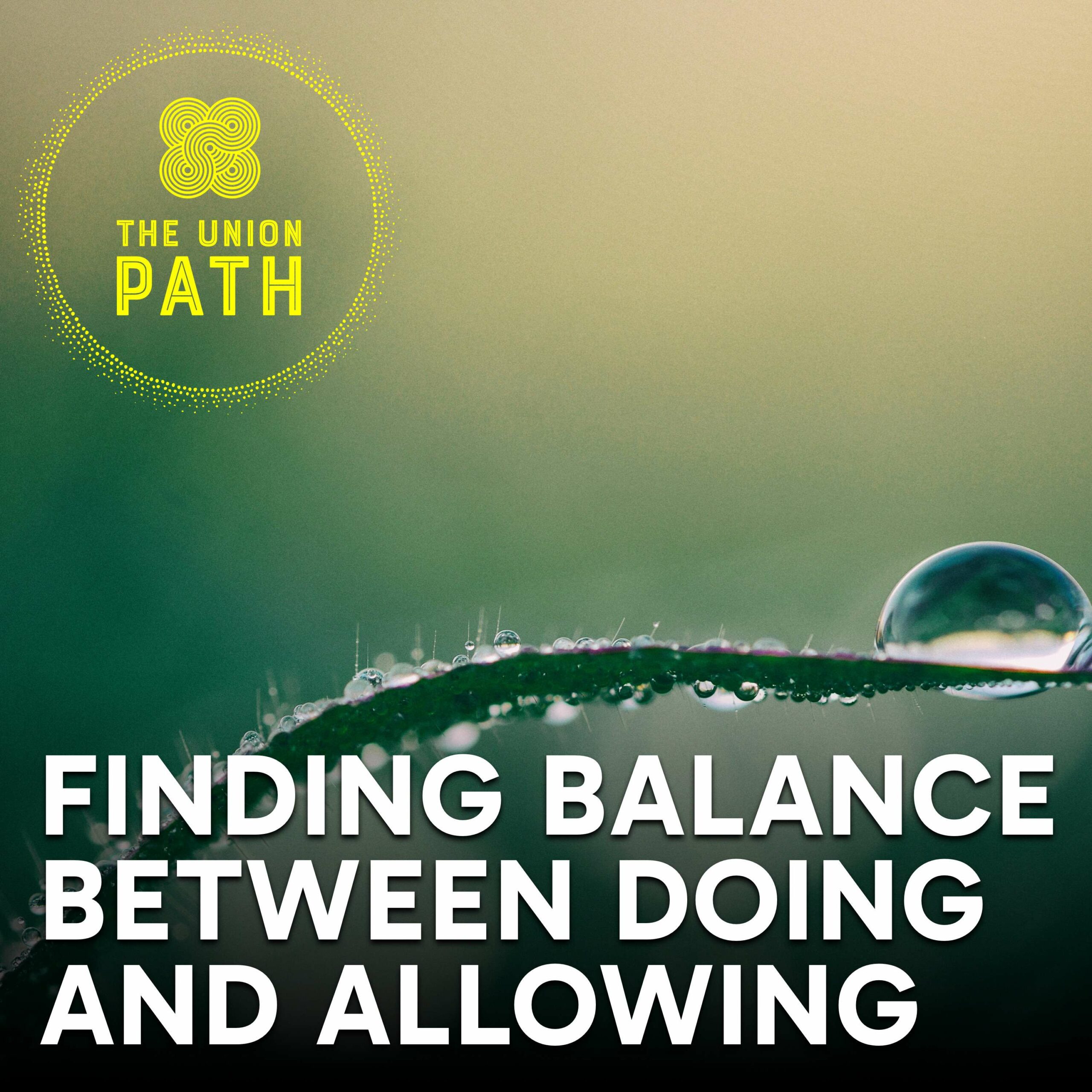 Finding Balance Between Doing and Allowing